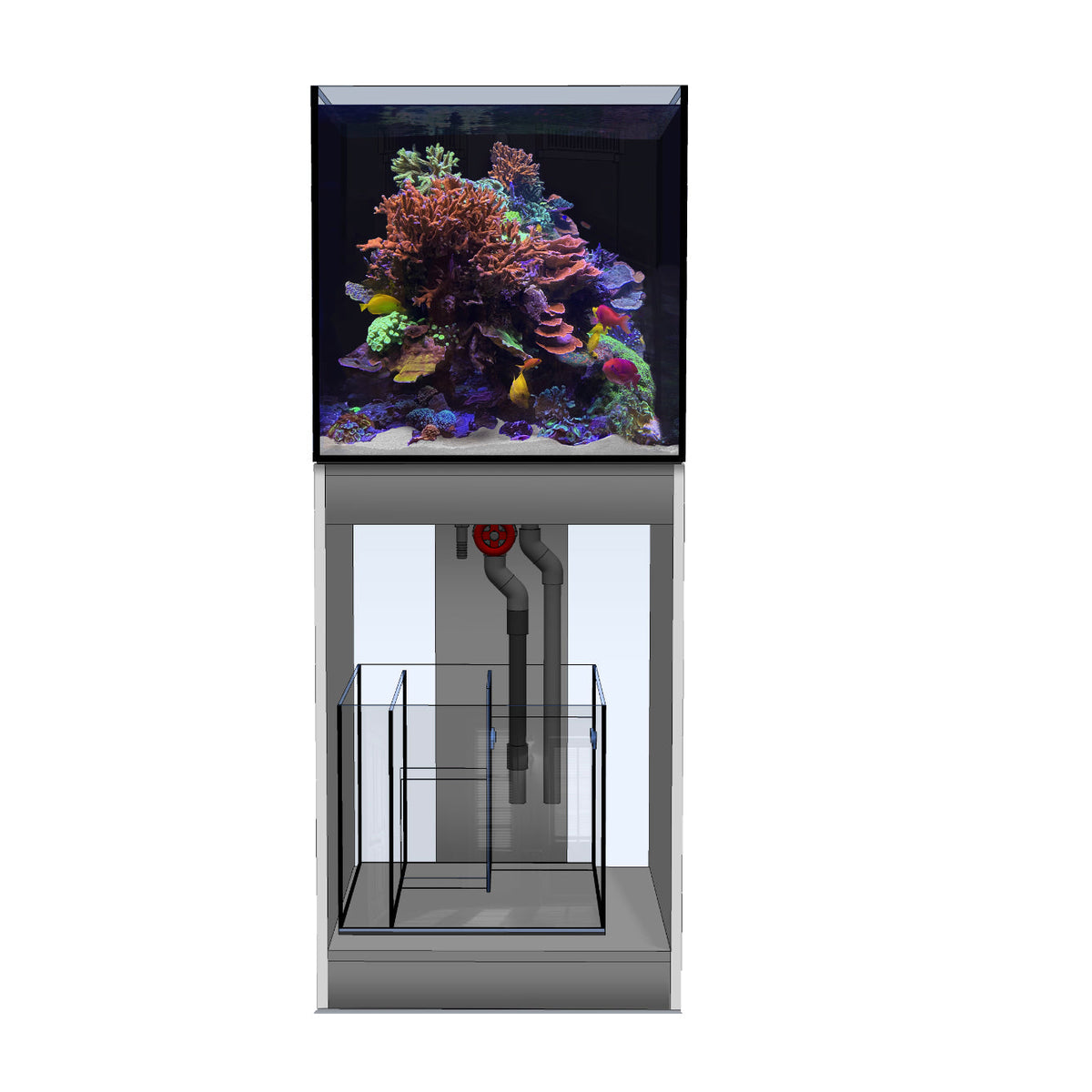D-D Aqua-Pro Reef 600 Cube – Innenansicht mit Sump