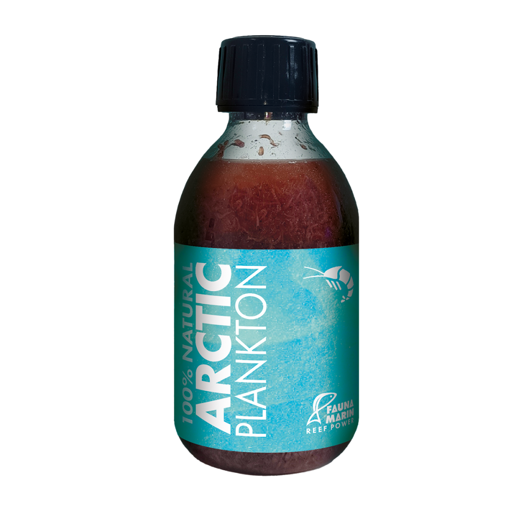 Fauna Marin Arctic Plankton Flasche