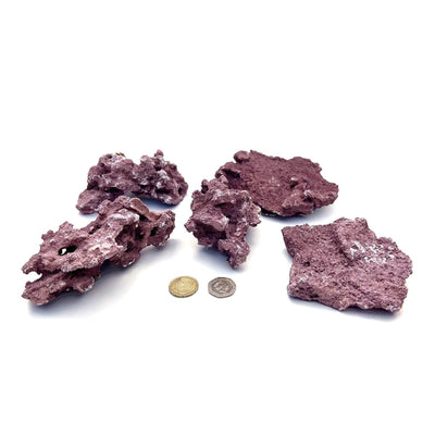 D-D Marco Coralline Frag Mounts – Steine für Ableger | 4,09 kg
