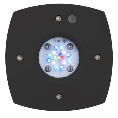 AI Prime 16HD Reef – kompakte LED für Riffaquarien | Schwarz & Weiß