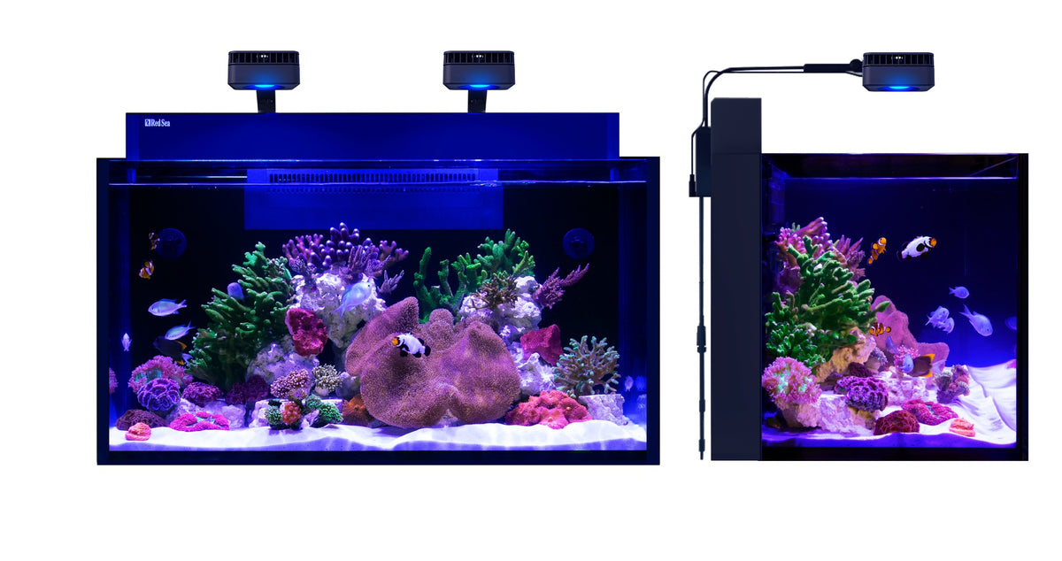Red Sea MAX NANO G2 XXL – Maße