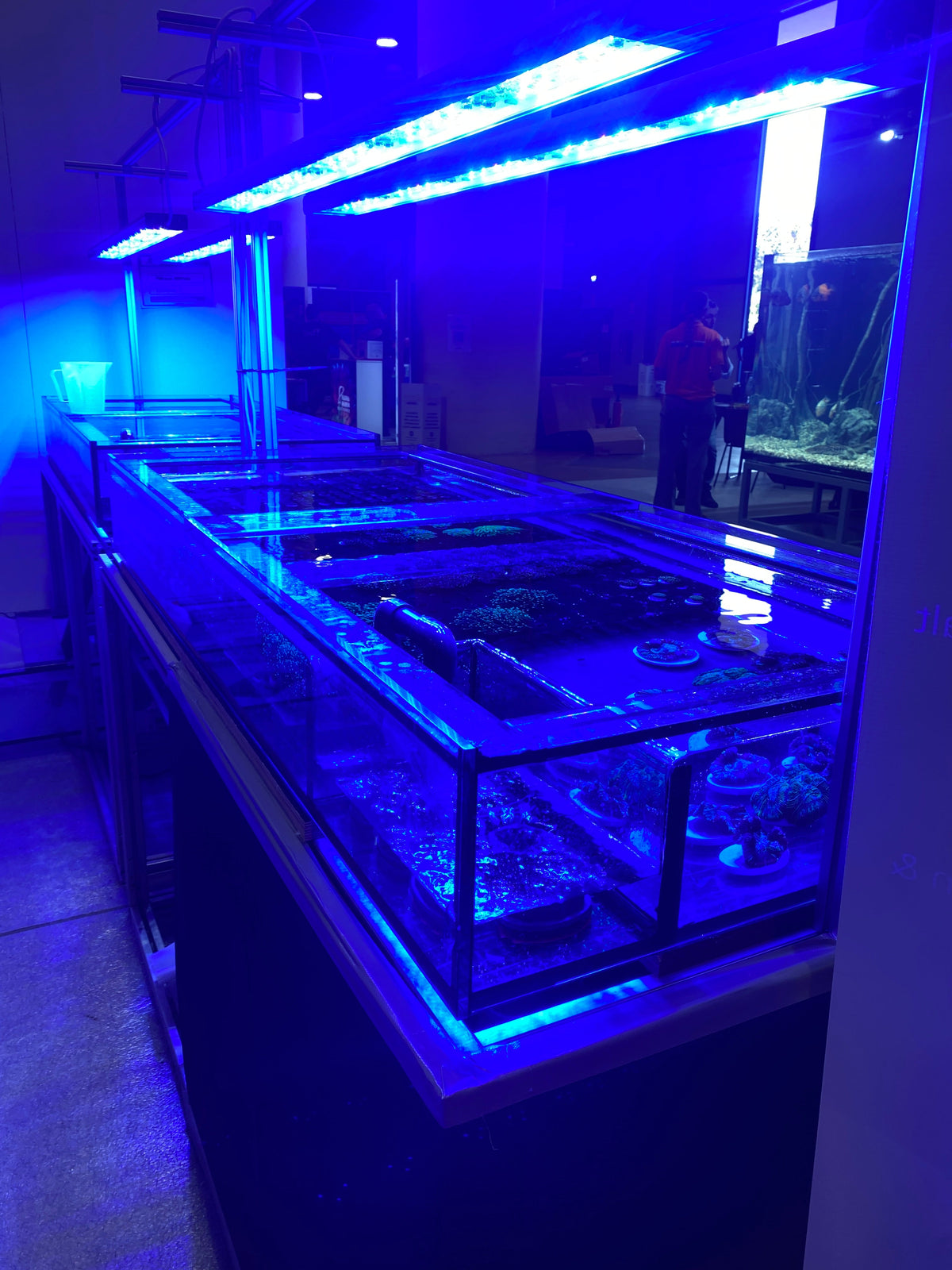 Produkte/Zubehör