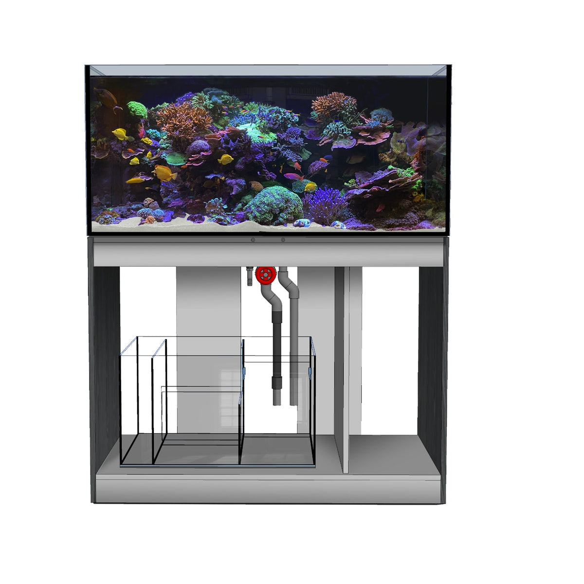 D-D Aqua-Pro Reef 1200 – Innenansicht mit Sump