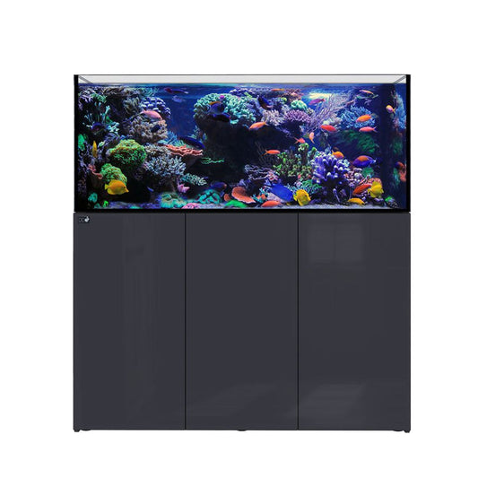 D-D Aqua-Pro Reef Metal Frame 1350 Anthrazit Hochglanz