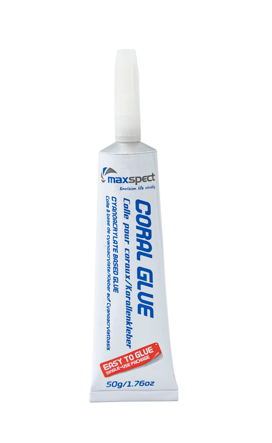 Maxspect Korallenkleber
