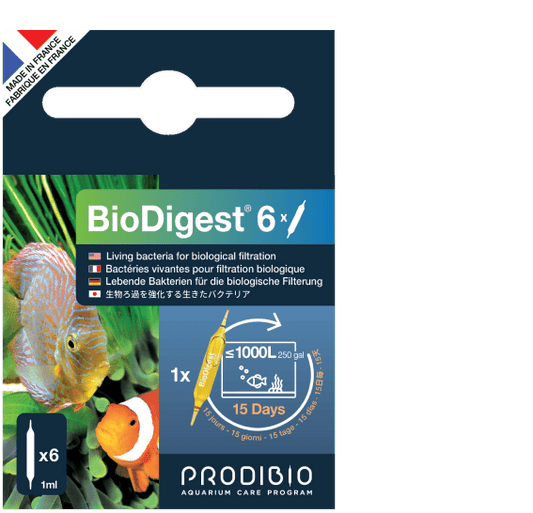 Prodibio BioDigest 6 Ampullen – Packung