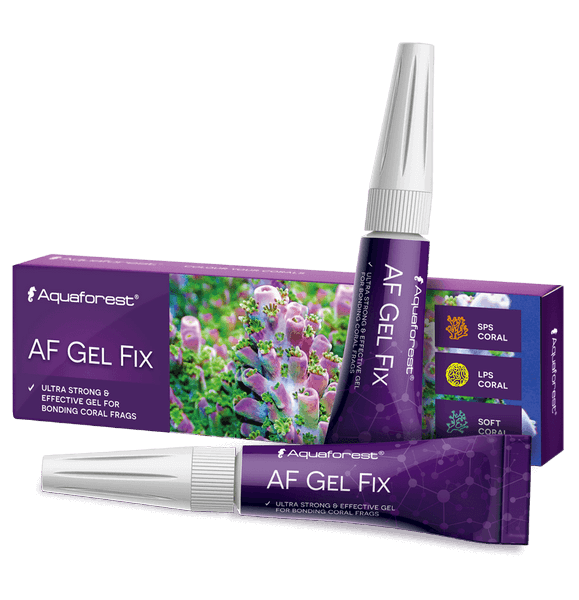 Aquaforest Korallenkleber – AF Gel Fix, AFix Glue, Poly Glue – AF Gel Fix (2 x 20 g)