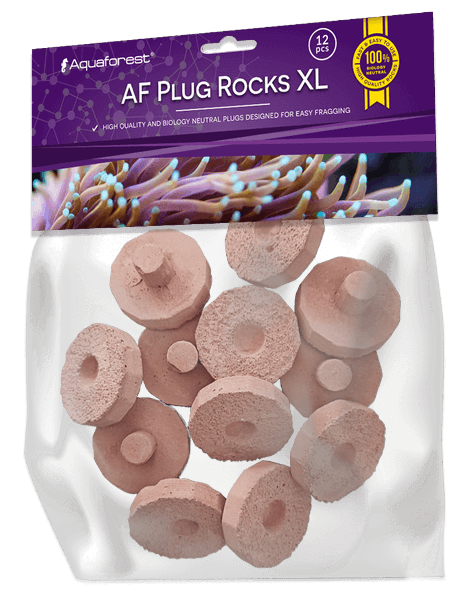 Aquaforest Frag Rocks, Mini Rocks & Plug Rocks – Ablegersockel – Plug Rocks Lila XL (12 Stk.)