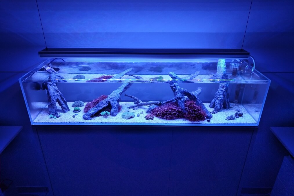 AquaLEDs aquaBAR Gen4 Reef – LED | 30–240 W