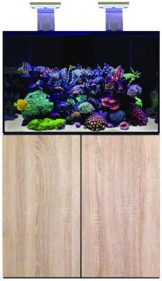 D-D Aqua-Pro Reef 900 Eiche Platin – Riffaquarium