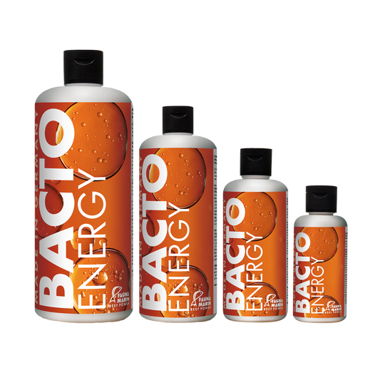 Fauna Marin Bacto Energy