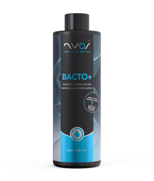NYOS BACTO PLUS Flasche