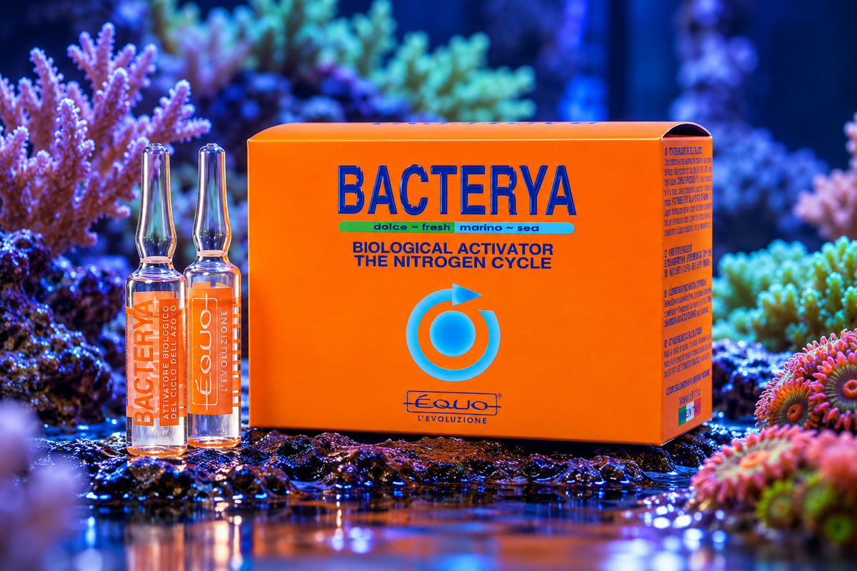Équo BACTERYA – Biologischer Bakterienaktivator