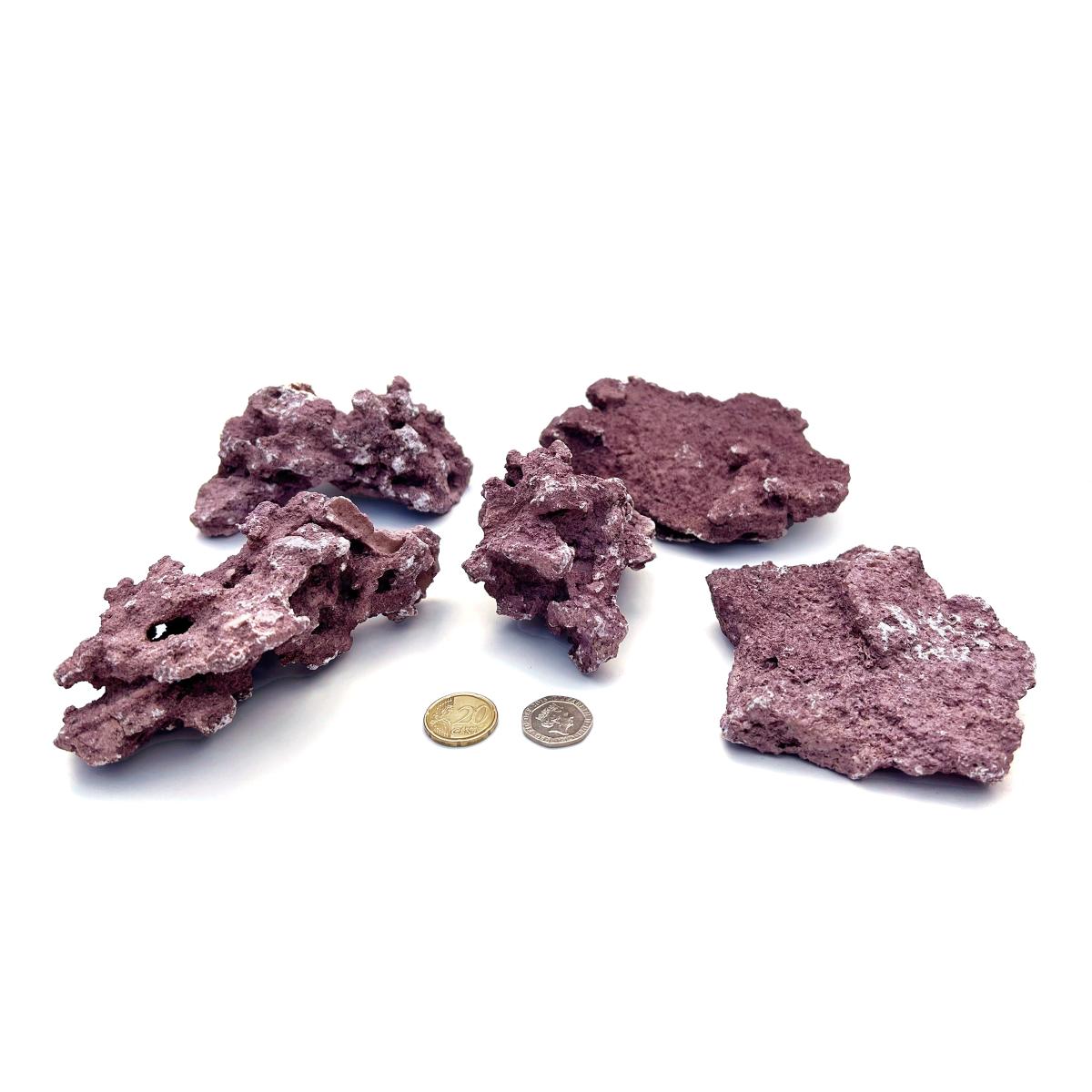 D-D Marco Coralline Frag Mounts – kleine flache Steine