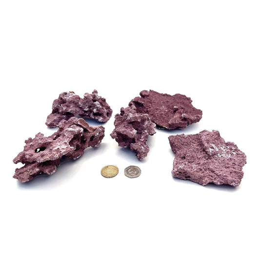 D-D Marco Coralline Frag Mounts – kleine flache Steine