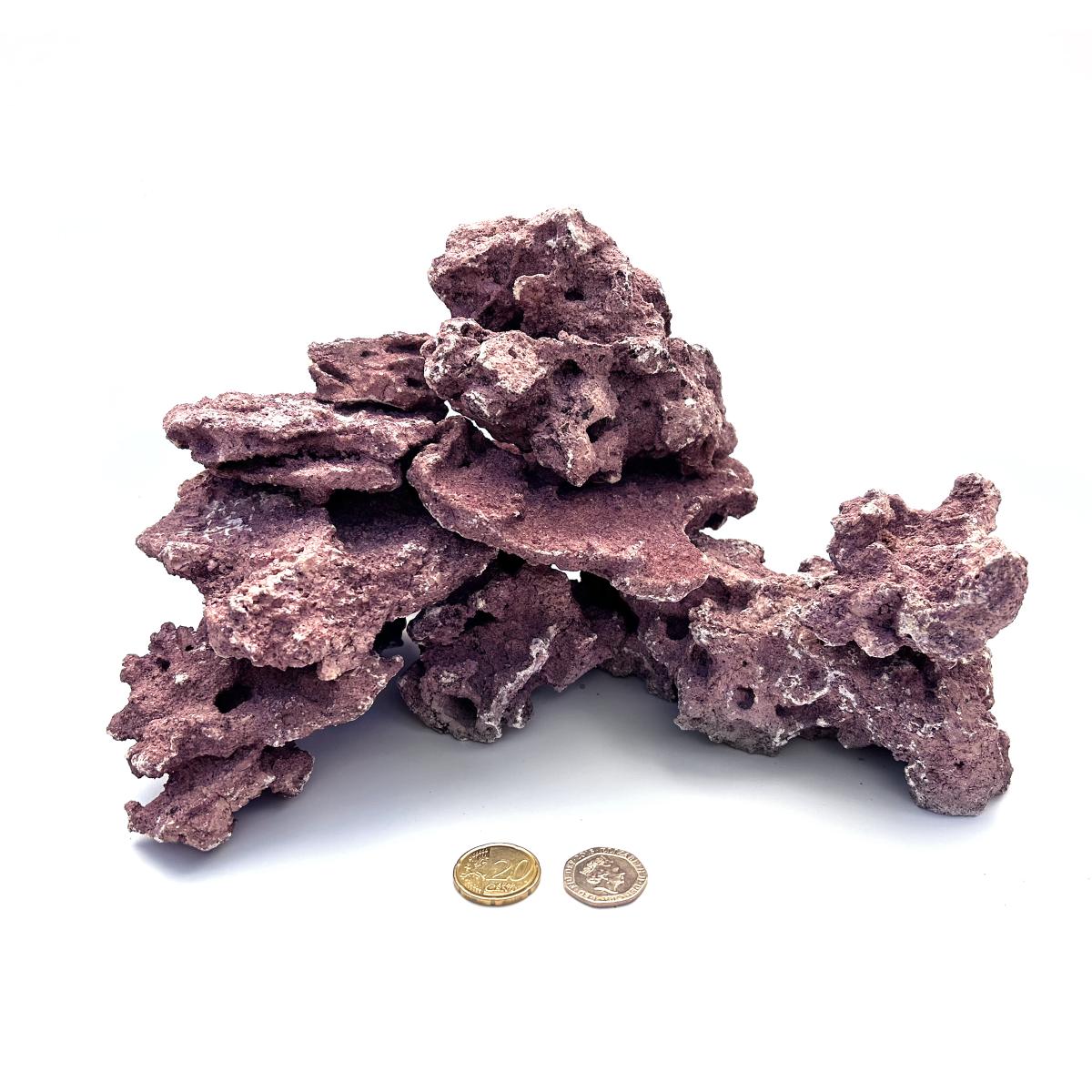 D-D Marco Coralline Frag Mounts – Detail