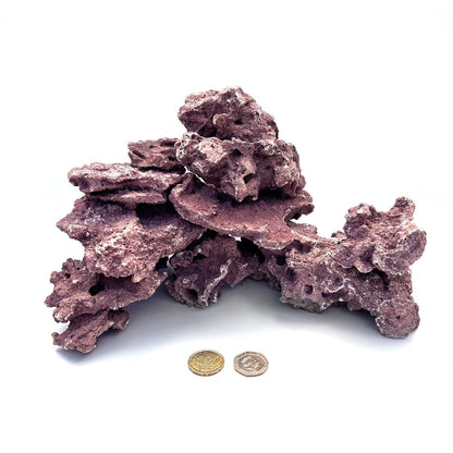 D-D Marco Coralline Frag Mounts – Detail