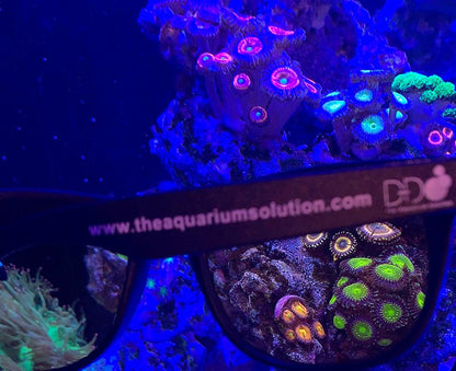 Riffaquarium durch die D-D Korallen-Farbsicht-Brille