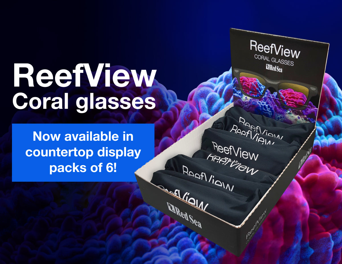 Red Sea ReefView Korallenbrille – Display-Box