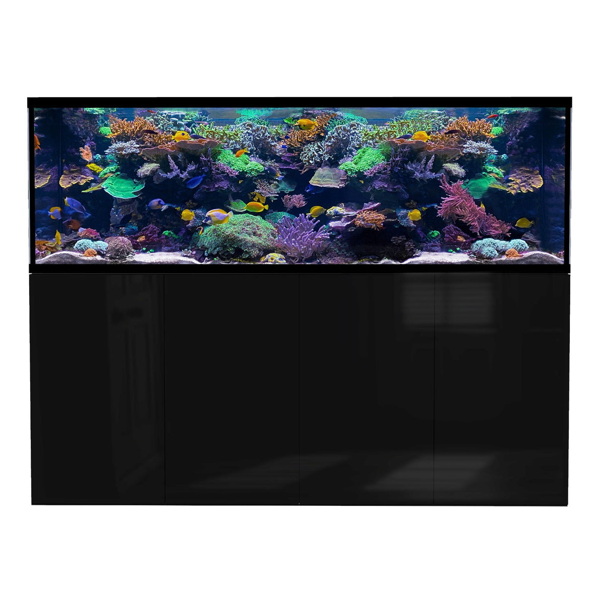 D-D Aqua-Pro Reef Metal Frame 2100 Schwarz Hochglanz