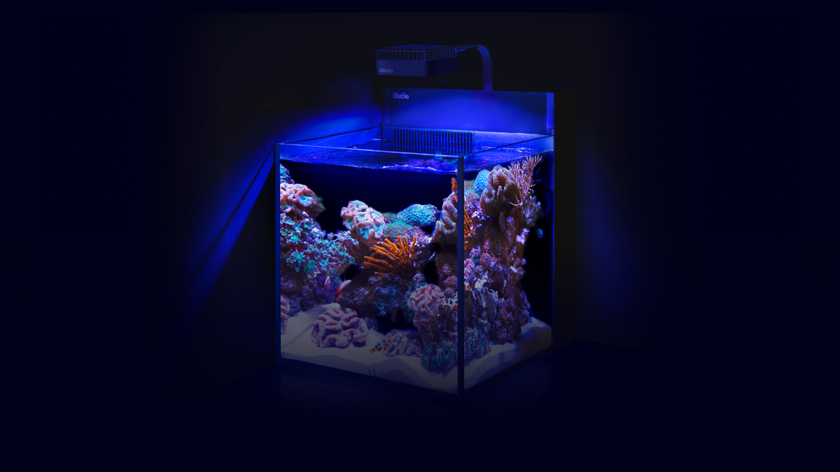 Red Sea MAX NANO G2 – All-in-one-Konzept