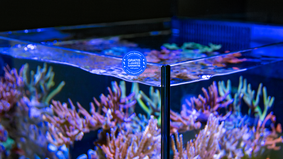 Red Sea MAX NANO G2 – ultraklares Glas