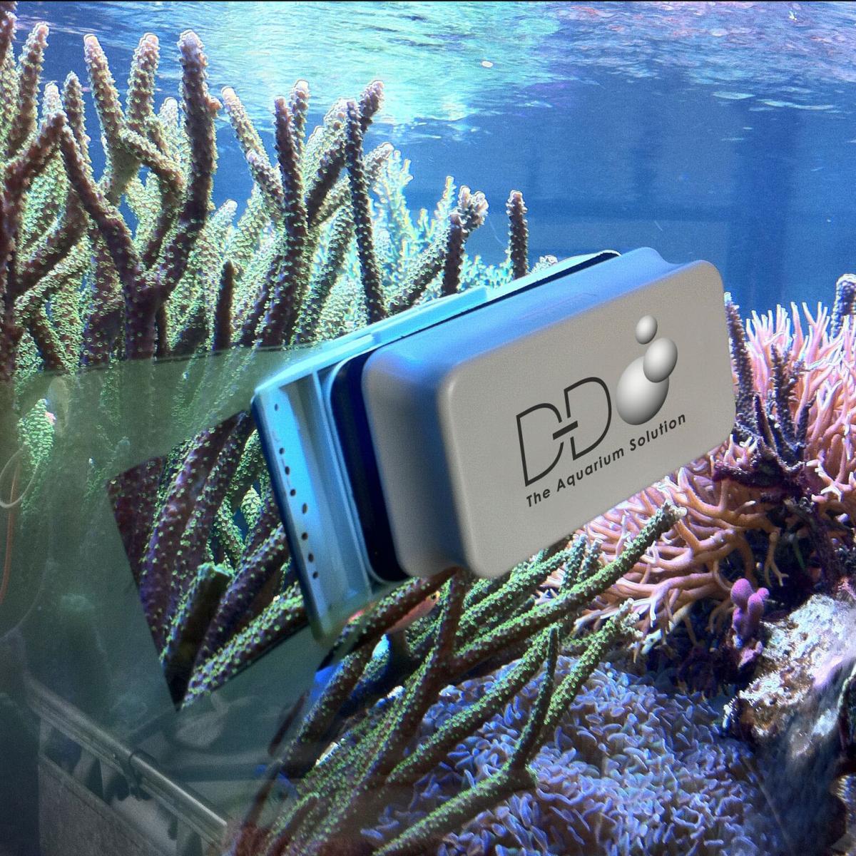 D-D MagScraper im Einsatz an der Aquarienscheibe