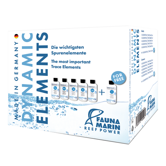 Fauna Marin Dynamic Elements Set