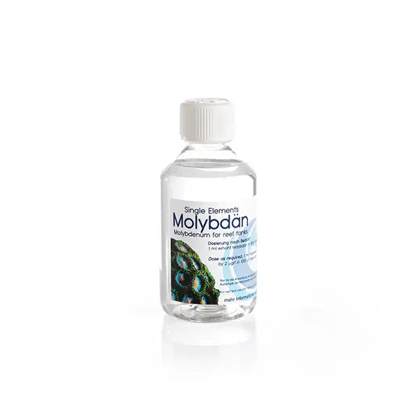 Oceamo Single Elements Molybdän