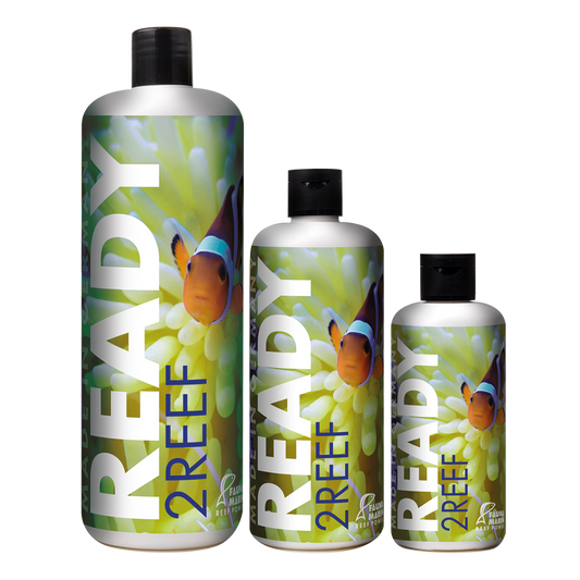 Fauna Marin Ready2Reef
