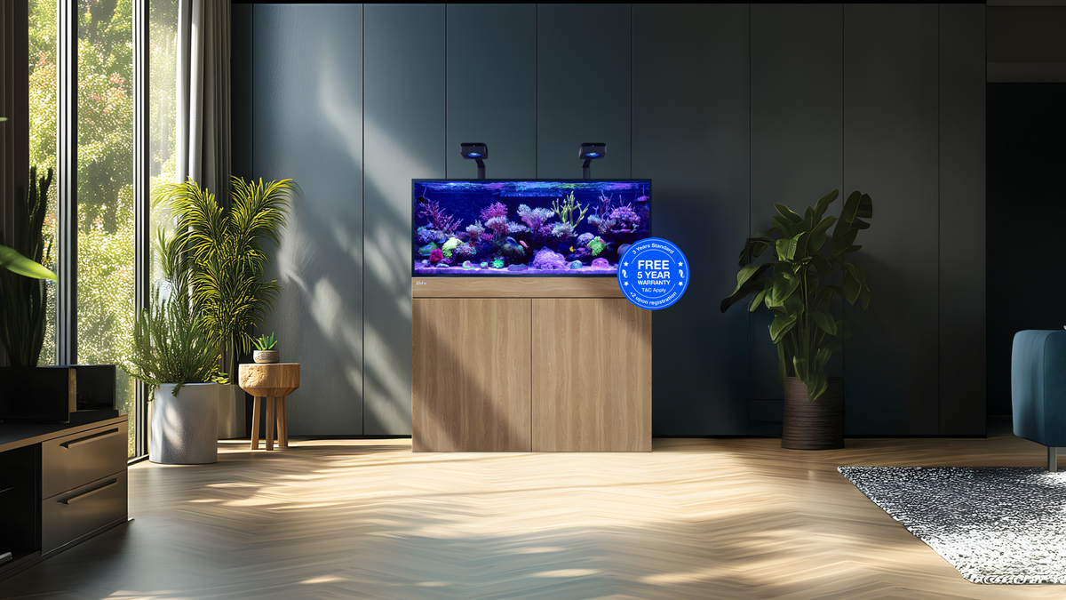 Red Sea REEF-FRAME – eingerichtetes Riffaquarium