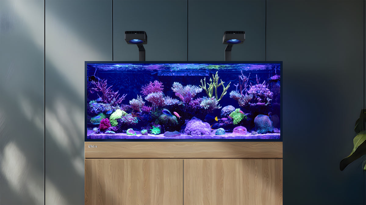 Red Sea REEF-FRAME MAX – Systemkonzept