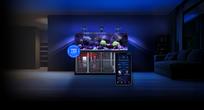 Red Sea REEFER MAX S G3+ – eingerichtetes Riffaquarium