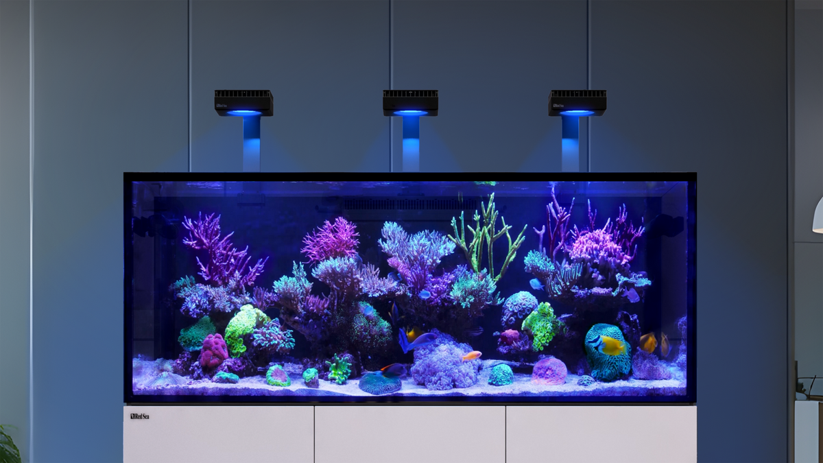 Red Sea REEFER G3+ – Systemkonzept mit Technikbecken
