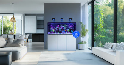 Red Sea REEFER G3+ – eingerichtetes Riffaquarium