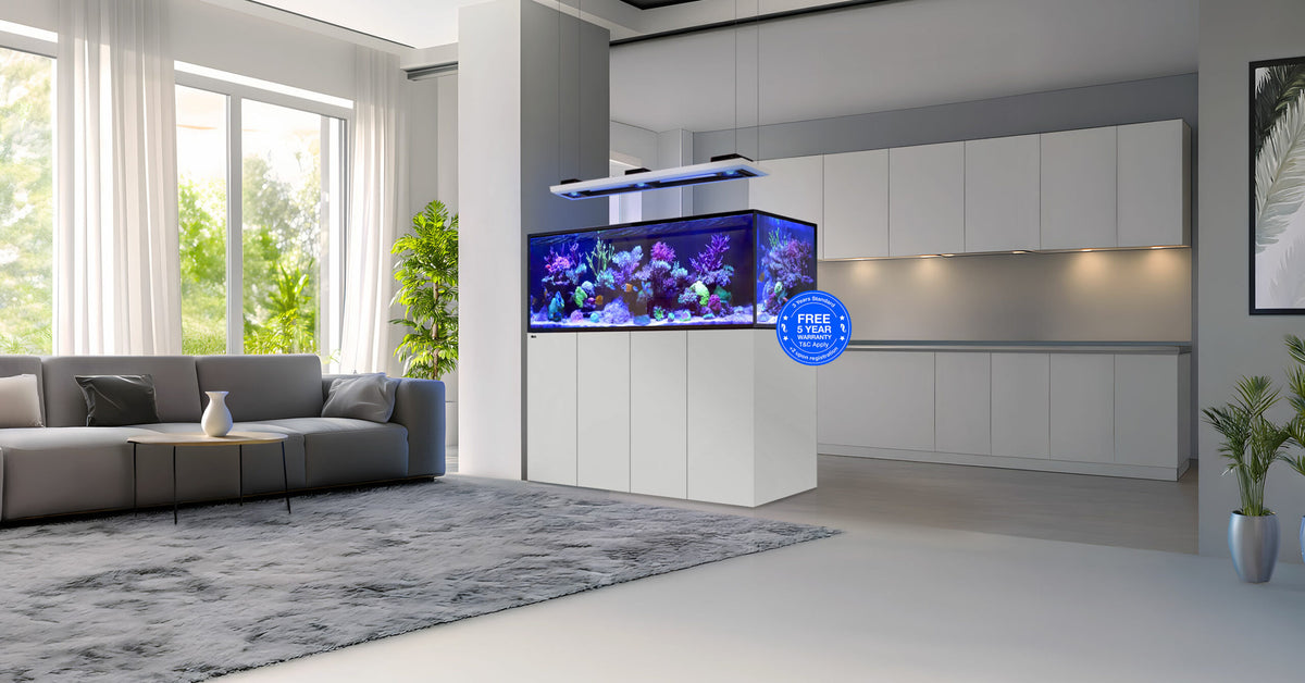 Red Sea REEFER Peninsula G3+ – eingerichtetes Becken