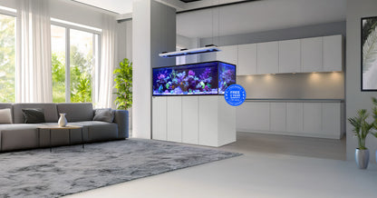 Red Sea REEFER Peninsula G3+ – eingerichtetes Becken