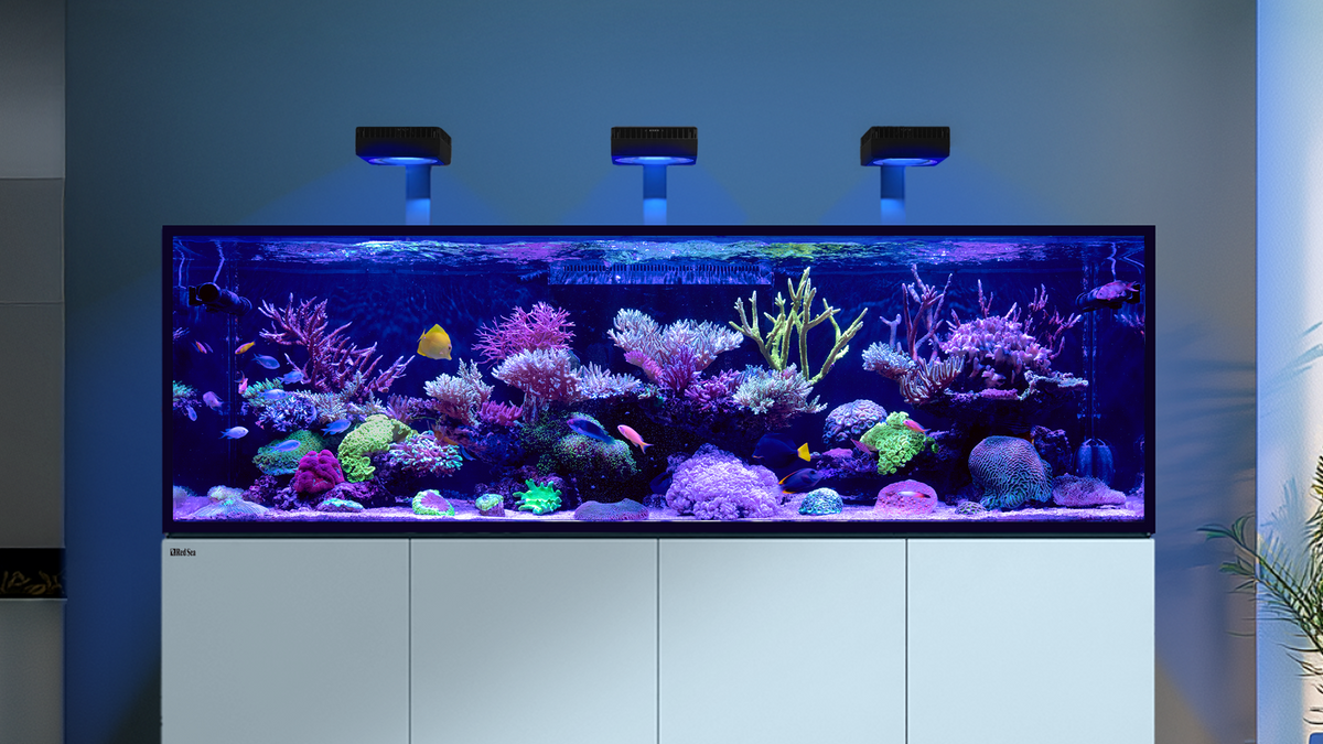 Red Sea REEFER S G3+ – Systemkonzept