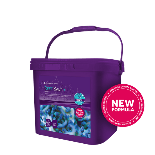 Aquaforest Reef Salt Plus – Meersalz mit erhöhten Werten für SPS – 5 kg