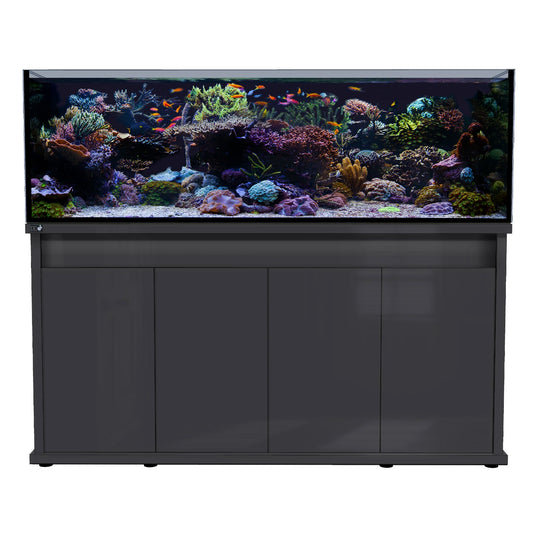 D-D Reef-Pro 1800 Anthrazit Hochglanz