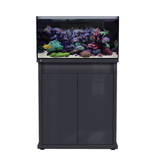 D-D Reef-Pro 900 Anthrazit Hochglanz