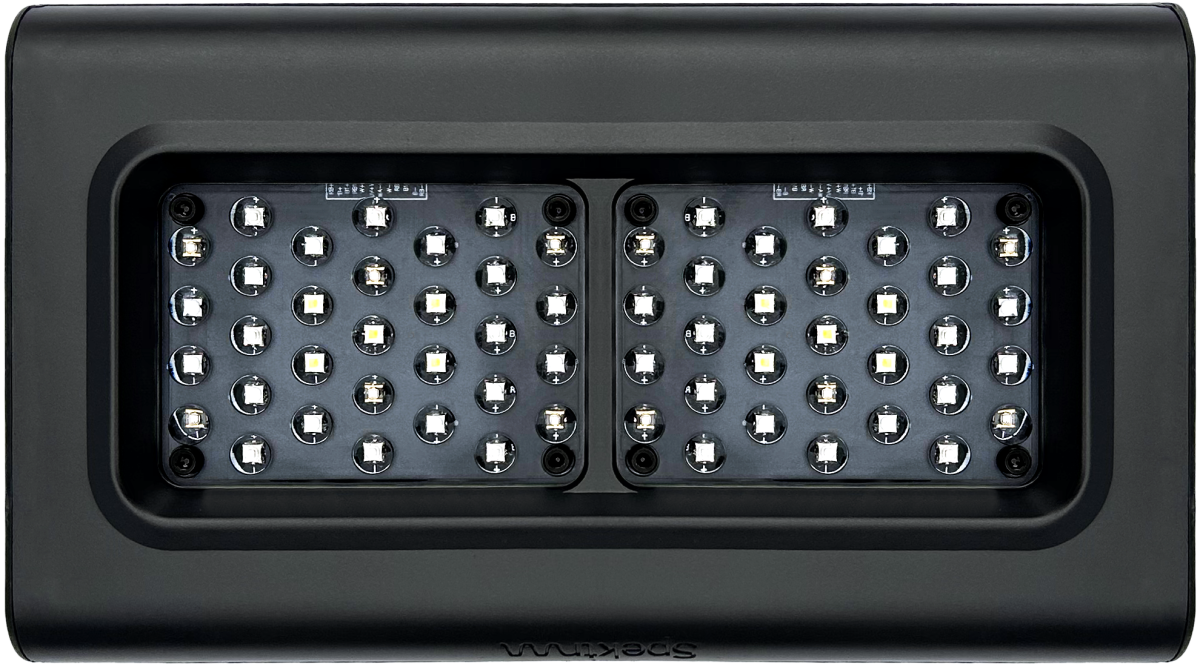 D-D Spektrum 150 LED – Unterseite mit 62 LEDs