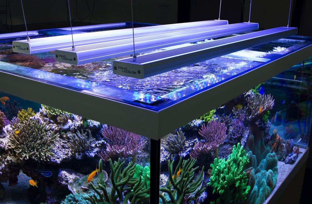 AquaLEDs aquaBAR Gen4 Reef – LED | 30–240 W