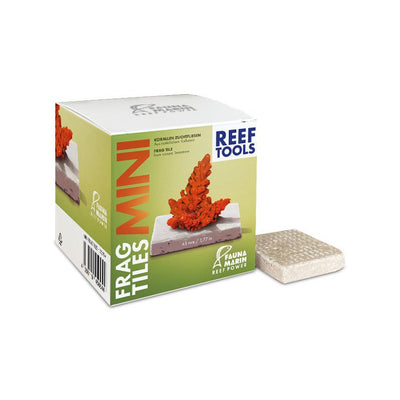 Fauna Marin Mini Frag Tiles – Korallenzuchtfliesen 45 mm | 40 Stück