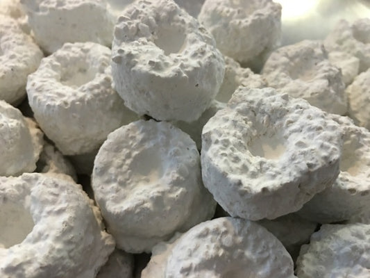 Korallenzucht Frag Stones Ablegersteine