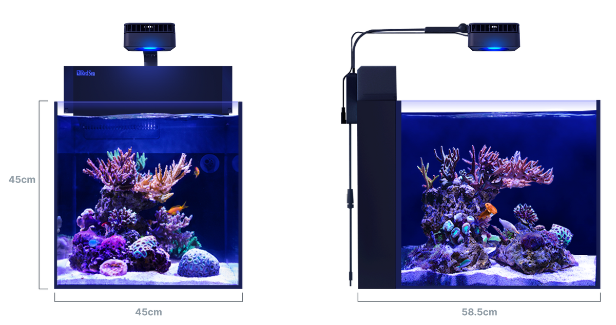 Red Sea MAX NANO G2 Peninsula – Maße 45 × 58,5 × 45 cm
