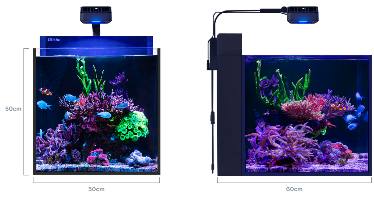 Red Sea MAX NANO G2 XL – Maße 50 × 60 × 50 cm