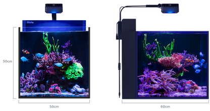 Red Sea MAX NANO G2 XL – Maße 50 × 60 × 50 cm