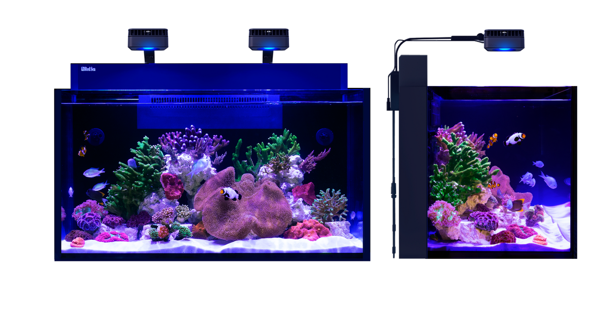 Red Sea MAX NANO G2 XXL – Maße 90 × 55 × 50 cm