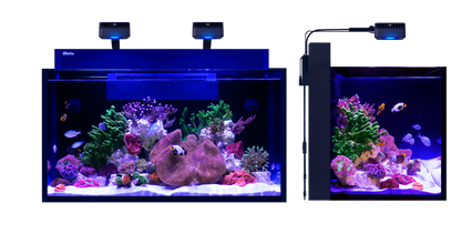 Red Sea MAX NANO G2 XXL – Maße 90 × 55 × 50 cm